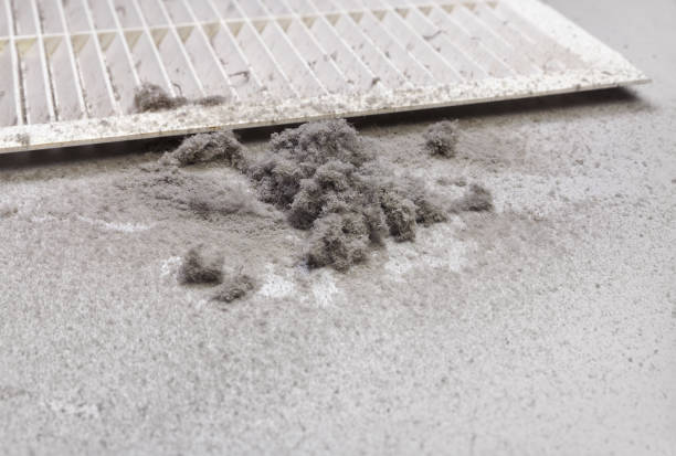 Best HVAC Air Duct Cleaning  in Frazeysburg, OH